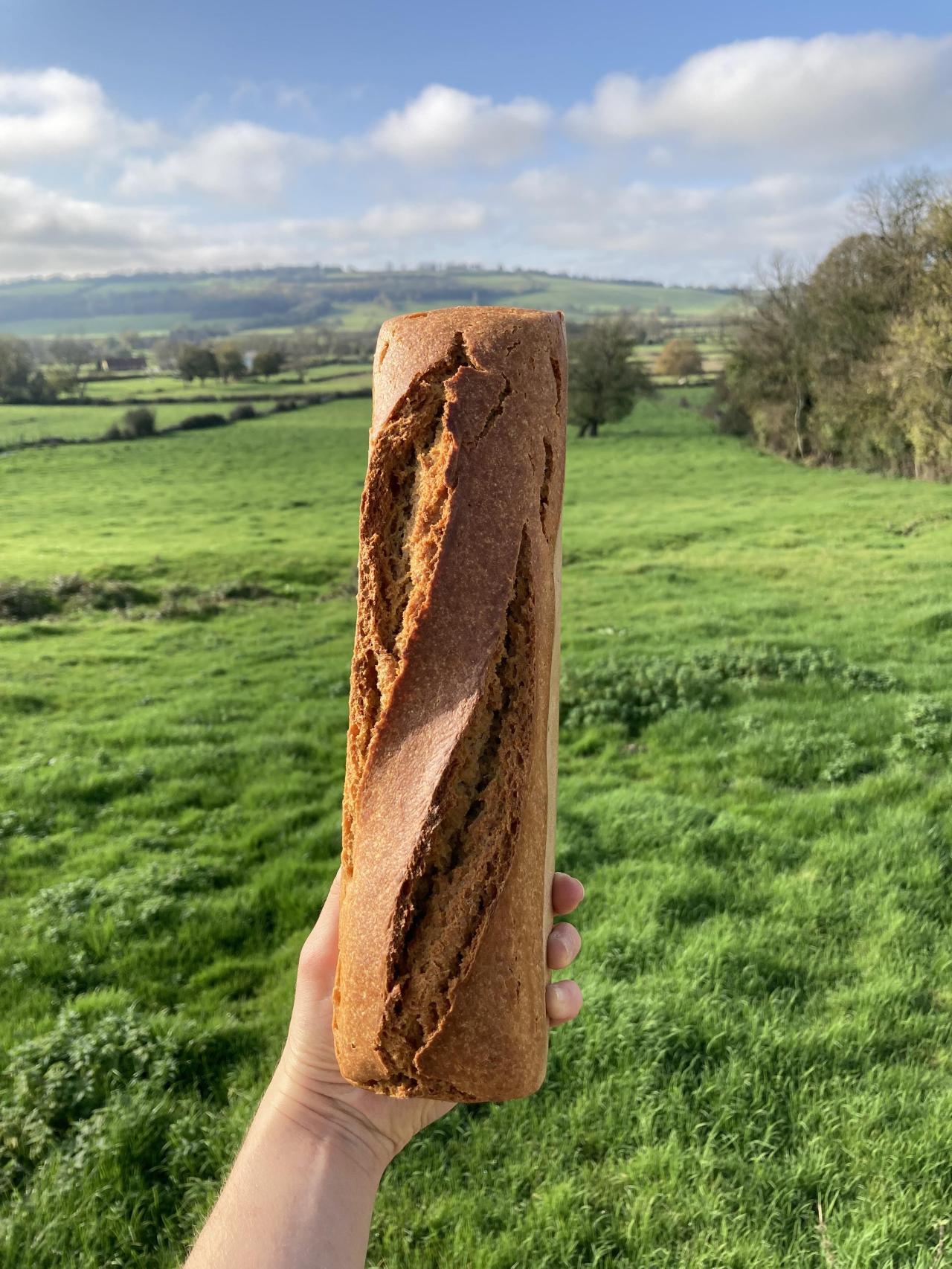 Pain de petit épeautre